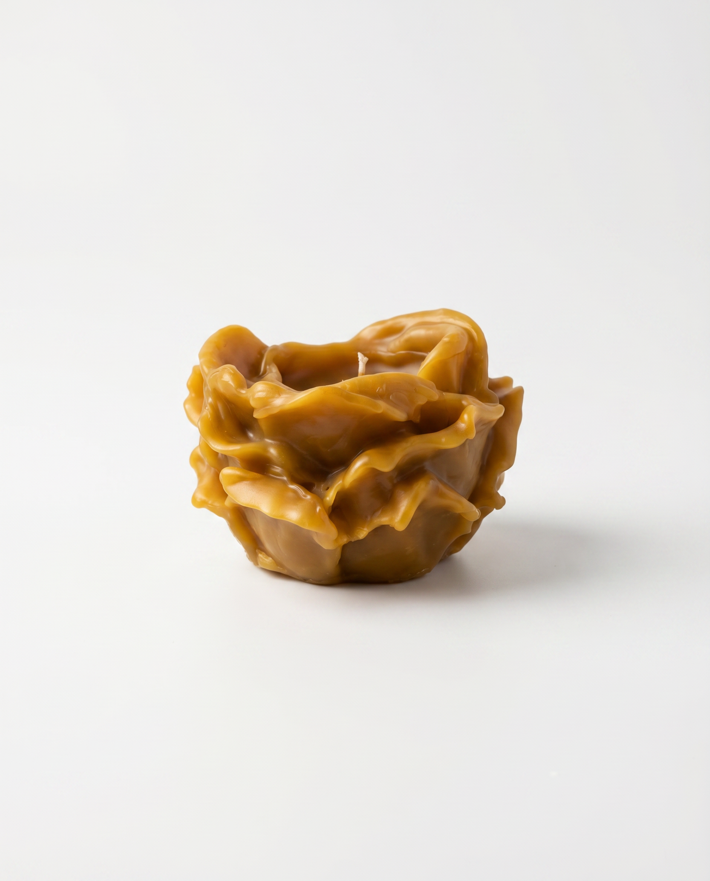 WAXED ROSE