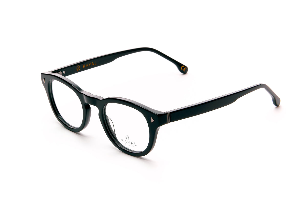 Erasmus Optical Glasses