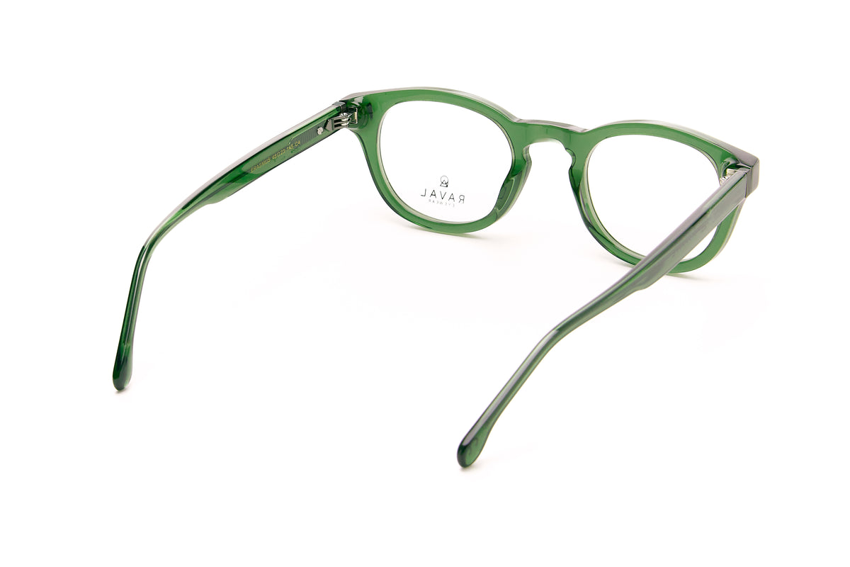 Erasmus Optical Glasses