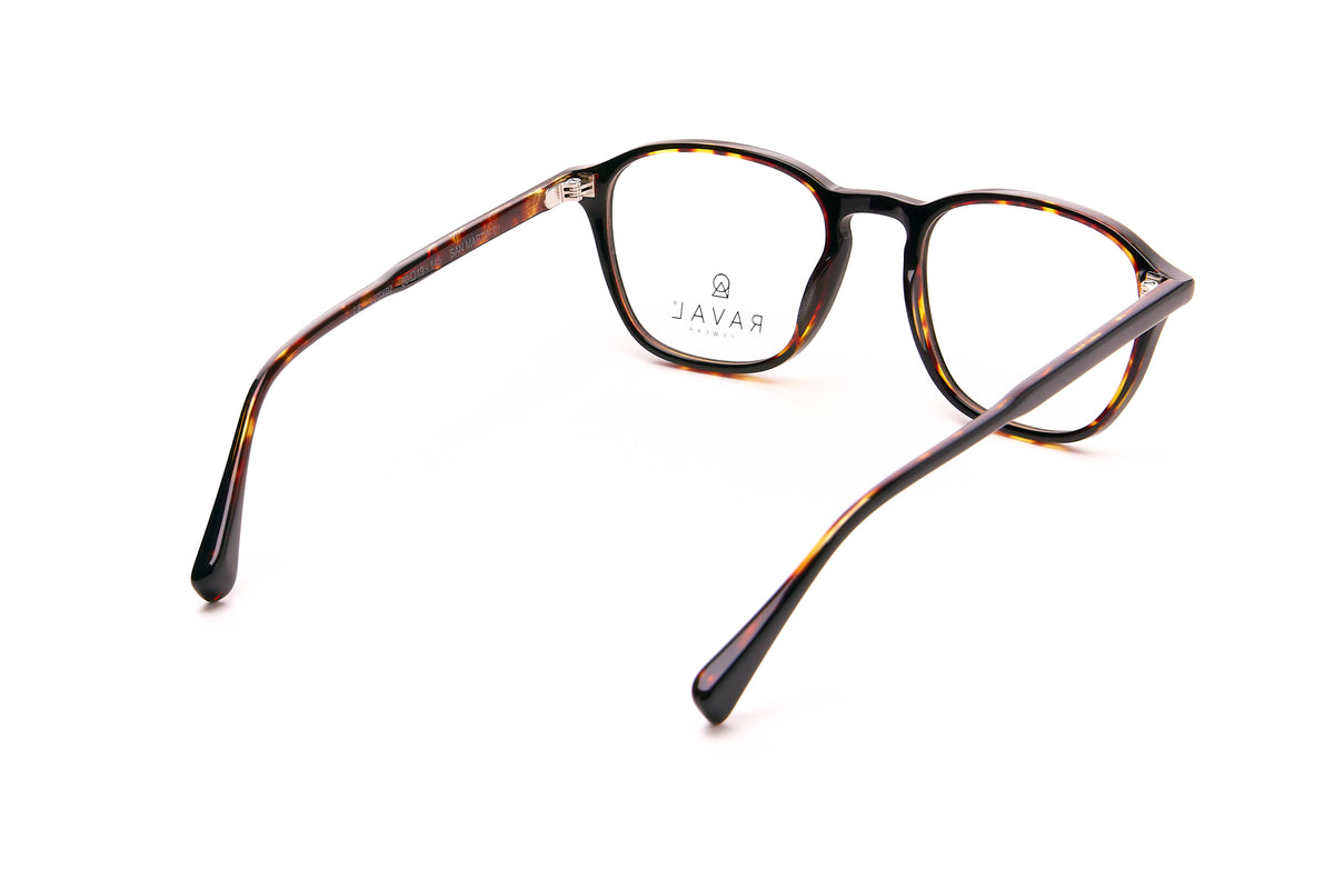 San Martin Optical Glasses